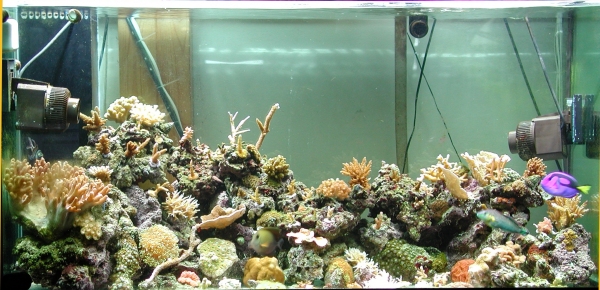 28oct202005a