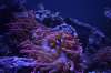 201302_01_fishoholic.jpg 201302_01_fishoholic.jpg
