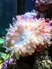 201302_02_misty_s.jpg 201302_02_misty_s.jpg