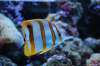 201305_fishoholic_001.jpg 201305_fishoholic_001.jpg