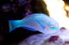 201306_kien_01.jpg 201306_kien_01.jpg