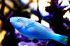 201306_kien_03.jpg 201306_kien_03.jpg