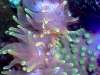 201309_reefwars_01.jpg