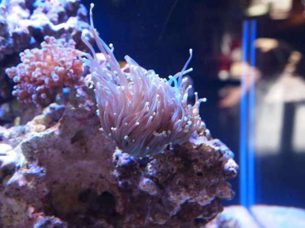 13_FishinGoalie_02