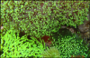 30_Christopher_01.png 30_Christopher_01.png