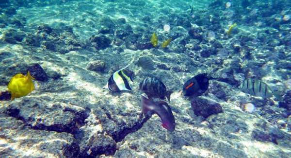 12_Samw_07