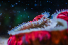 10_MarkoD_01.png 10_MarkoD_01.png