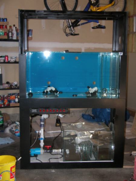 1059Img2005_05_0302
