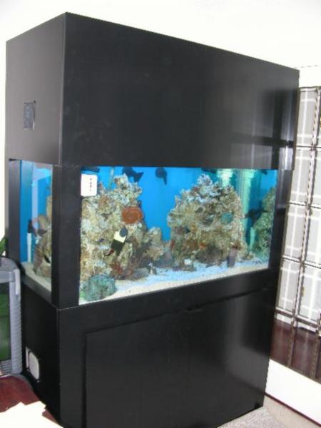 1059Img2005_05_0601