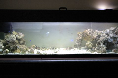 110gal