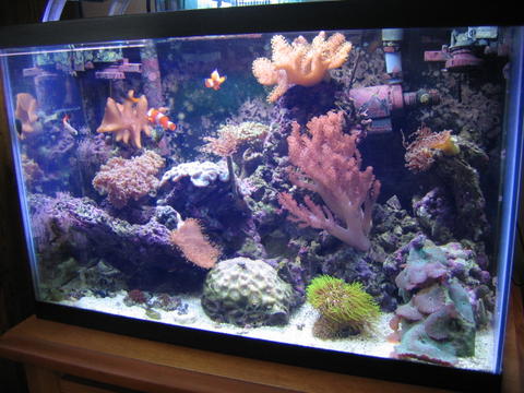 133520g_32watt_PC