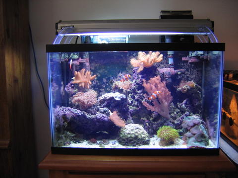 133520g_32watt_PC_b