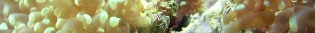 1338Img2004-12-04_001underline