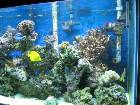 1376Tank_pic_2