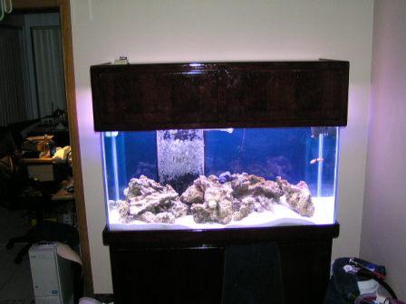 1455Tank2