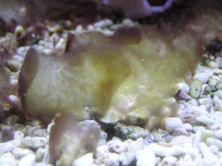 1471April_16_2005_003e