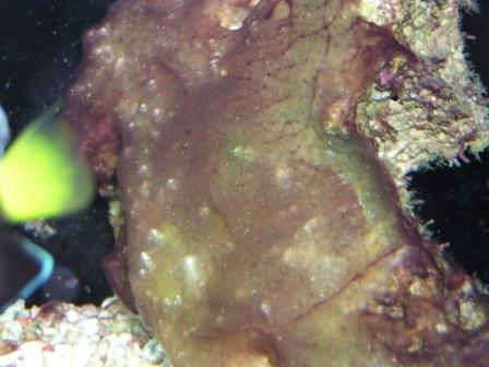 1471April_16_2005_004e