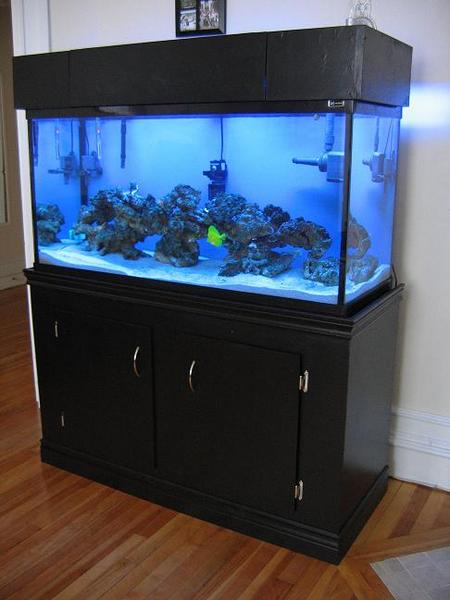 1494fulltankpic1