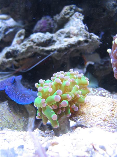 15001_7_Medium_