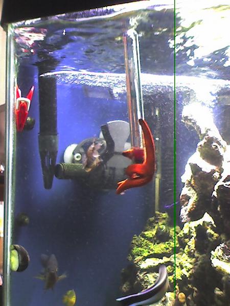 1881Photo_070405_015