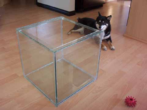 19416_cube
