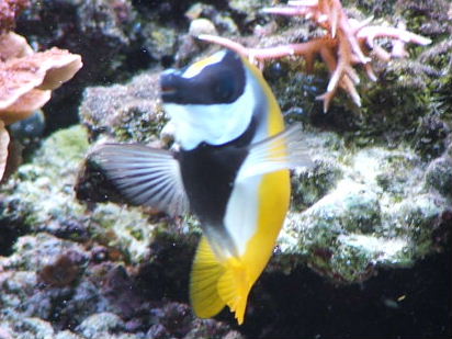2006_1126BT0018