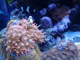 20130113_102940_1_1