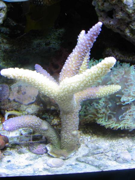 236673_7385small