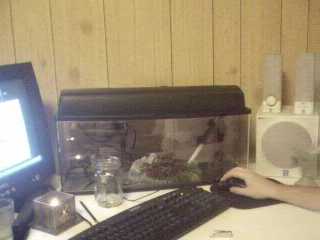 753desktank