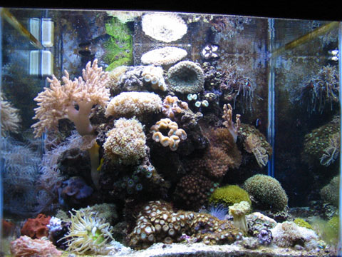 75G_Full