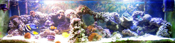 815fulltank2