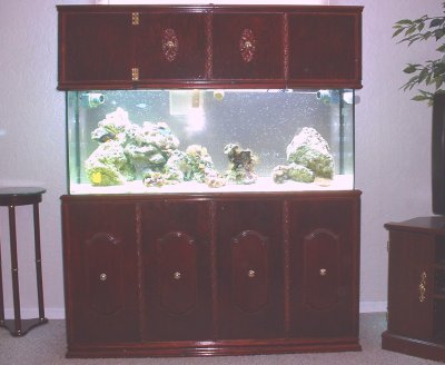 822tank-front