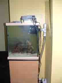 855sidepic37