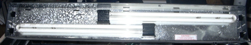 950P1010485