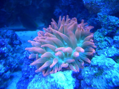 958mini-Picture_014