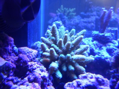 958mini-Picture_053