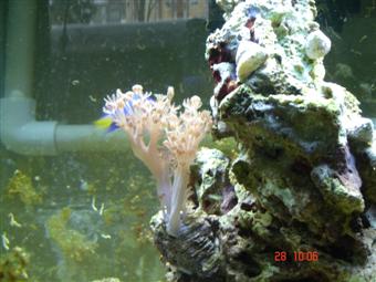 989group_2_029