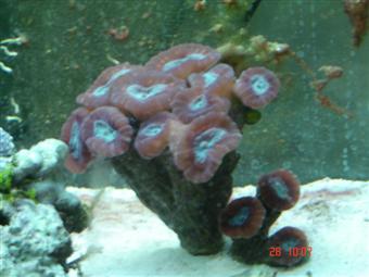 989group_2_032