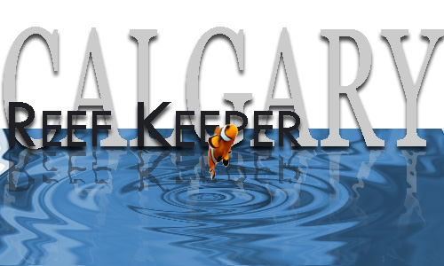 Calgary_Reef_Keeper