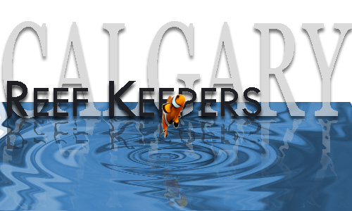 Calgary_Reef_Keeper1
