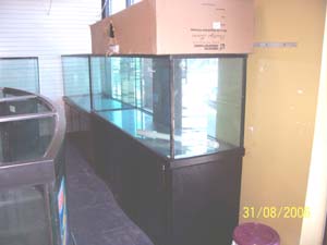 Copy_of_100_0505