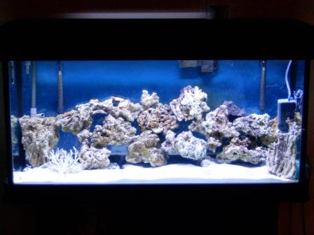 Full_tank1