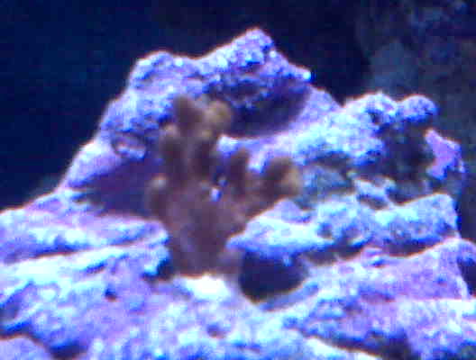 IMG00051