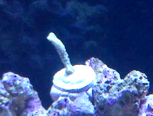 IMG00052