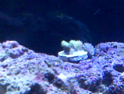 IMG00062