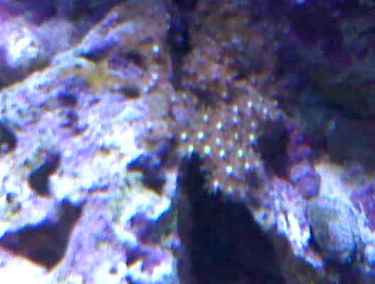 IMG00063