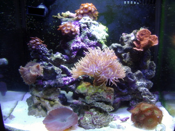 IMGP0401