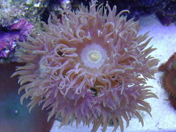 IMGP0404