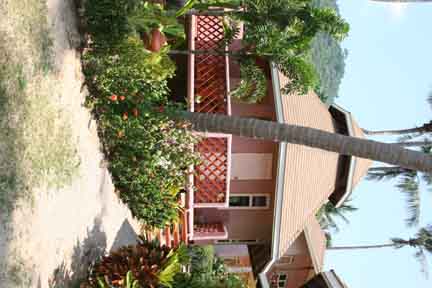 Koh_Tao_bungalow