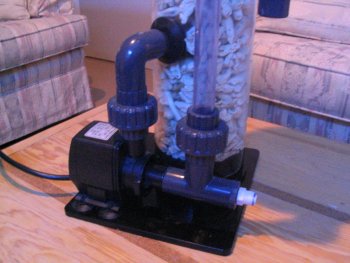 PICS_024